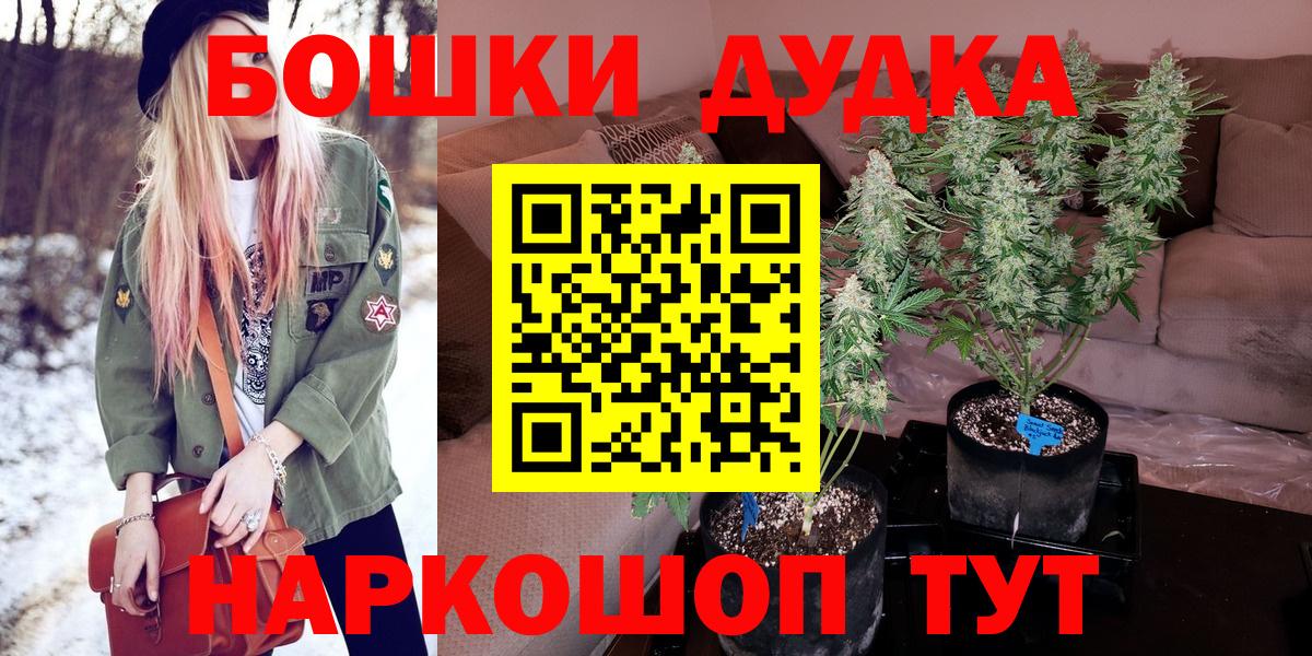 Малгобек  Бошки Шишки гибрид  Вход с VPN  Канабис White Widow  Марихуана индика 